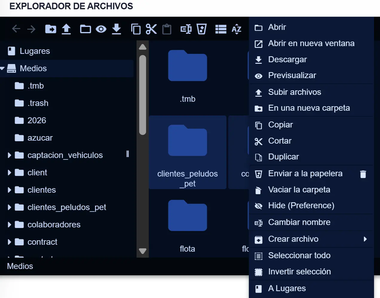 Menú contextual del explorador de Medios