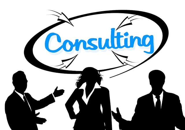 Servicios de Consultoría TI Especializada